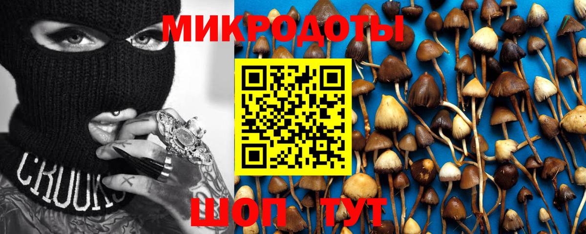 Псилоцибиновые грибы ЛСД  Вход с VPN  Кизляр  купить закладку  Галлюциногенные грибы ЛСД 