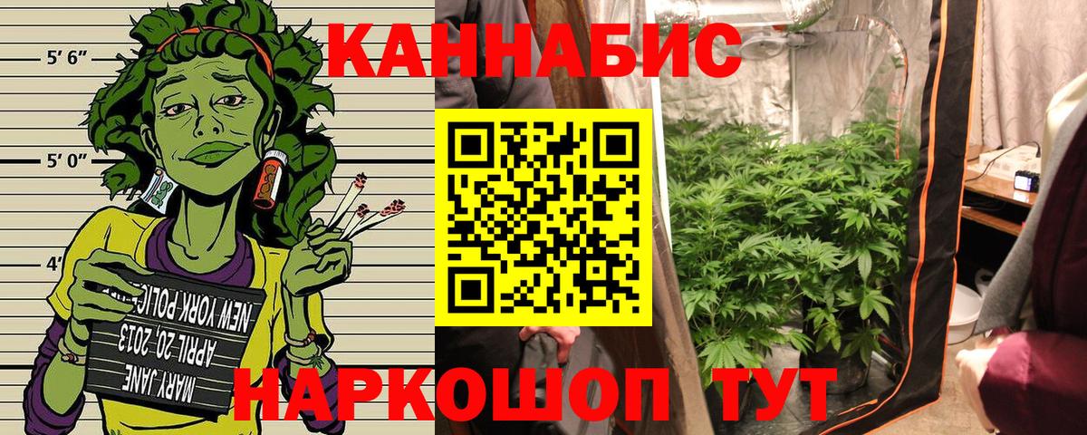 Канабис семена Кизляр